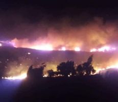 مدير عام اتصالات اللاذقية: إعادة الخدمة إلى كل مناطق ريف المحافظة التي تضررت نتيجة الحرائق خلال شهر