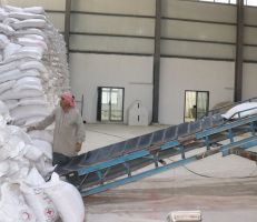 فرع المؤسسة العامة لإكثار البذار في محافظة درعا يبيع 9500 طن من بذار القمح للفلاحين خلال الموسم الحالي