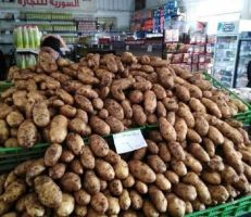 السورية للتجارة تعزز صالاتها بكميات إضافية من البطاطا وبسعر 600 ليرة للكيلو..