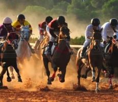 تسعة سباقات للسرعة على روزنامة الجمعية السورية للخيول العربية الأصيلة