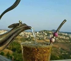 رجل أعمال سوري ينوي دخول موسوعة غينيس من خلال شرب المتة لمدة أسبوع!