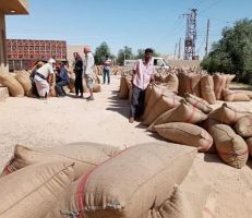 اللجنة الفرعية الزراعية بديرالزور تبحث واقع تسويق محصول القمح .