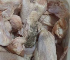 ضبط لحم دجاج فاسد غير صالح للاستهلاك البشري في  دمشق
