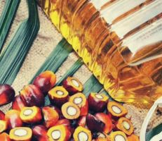 في خطوة قد تؤثر على استقرار سوق الزيوت النباتية .. إندونيسيا تعلق صادراتها من زيت النخيل بعد احتجاجات على ارتفاع أسعار المواد الغذائية