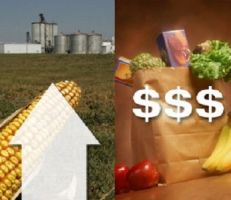 «فاو»: أسعار الغذاء العالمية تستقر قرب أعلى مستوياتها بسبب الحرب في أوكرانيا