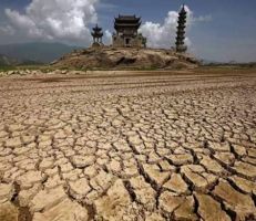 الصين تحذر من تهديد خطير لمحاصيلها الزراعية بسبب موجة الحر