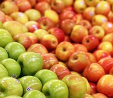 السورية للتجارة في السويداء تبدأ استلام محصول التفاح من المزارعين