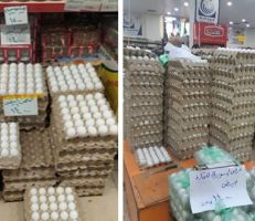 السورية للتجارة تطرح طبق البيض بـ 14 ألفاً في صالاتها
