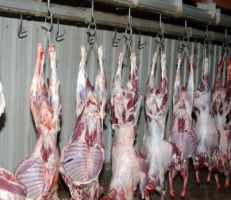 جمعية اللحامين توضح أسباب اختلاف أسعار اللحوم بين المحافظات وتطالب بإعادة تأهيل سوق الجملة بالزبلطاني