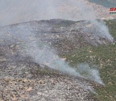 الوزير قطنا: إخماد 90 بالمئة من الحرائق في أعالي الحراج الجبلية بمنطقة الغاب والعمل جار لإخمادها بشكل نهائي
