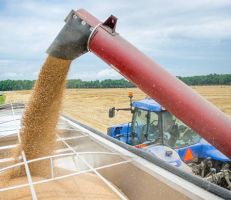 وزير الزراعة: إنتاج القمح هذا العام جيد ونخطط لزيادة الإنتاج في الموسم القادم