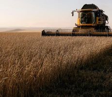 بوتين: روسيا قادرة على تعويض صادرات الحبوب الأوكرانية إلى إفريقيا