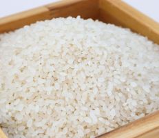 هيئة البحوث الزراعية : تجربة زراعة الأرز الهوائي في سوريا نجحت وستقنن من استيرداه وتنفيذها على الأرض مرهون بقرار الحكومة