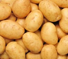 السورية للتجارة بحماة تطرح كميات من البطاطا بسعر مخفض عن السوق المحلية