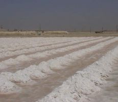 الاحتياطي 350 مليون طن.. الملح في سورية ثروة غير قابلة للنفاد وإيراد مالي جيد للخزينة العامة