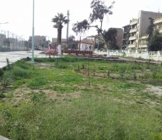 الحكومة تعيد تأهيل الحدائق في مدينة دير الزور