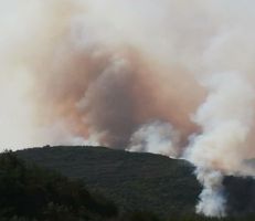 حرائق الغابات في سوريا