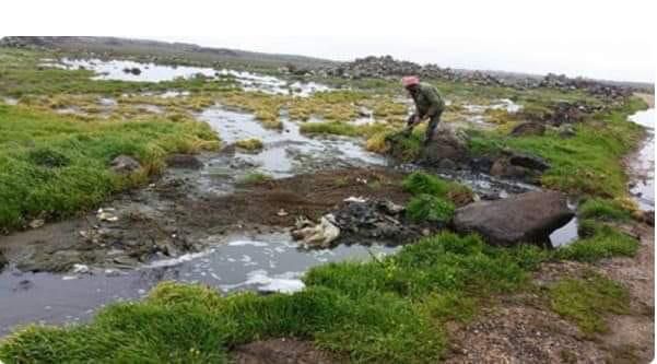 مياه الصرف الصحي تغزو حقول المزارعين في السويداء