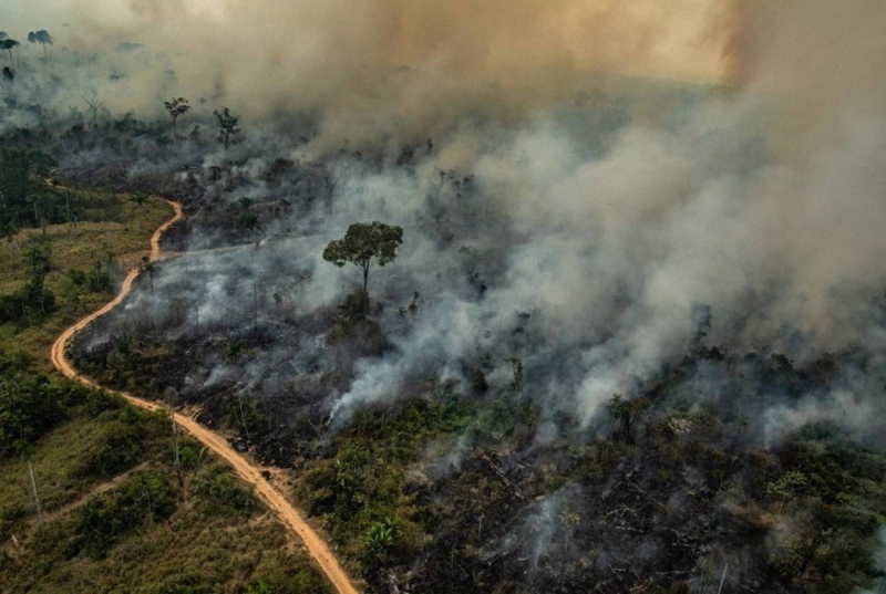 الرئيس البرازيلي يقول إن التبرعات التي يقدمها الممثل دي كابريو ذهبت للمسؤولين عن إشعال حرائق الأمازون