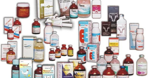 الحكومة تتجه لتصدير الأدوية البيطرية إلى دول إفريقية