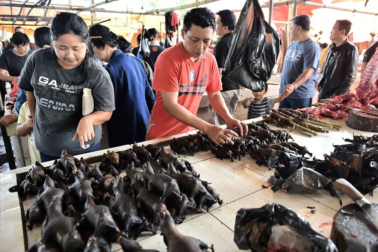فيروس كورونا: كاري الخفافيش لا يزال طبقاً رئيسياً في أندونيسيا رغم انتشار الفيروس