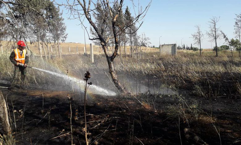 اندلاع حريق في أشجار حراجية وزيتون على امتداد 40 دونم بريف حمص