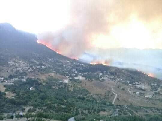السيطرة جزئياً على حريق جبال عين الكروم بحماة (صور)