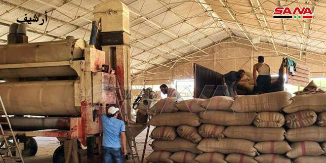 مدير السورية للحبوب بدير الزور: إنتاجنا 80 طن وحاجة المحافظة 160 طناً من الدقيق يومياً