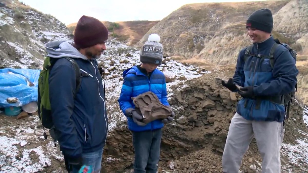 صبي كندي يعثر على عظام ديناصور عمره 69 مليون سنة (صور)
