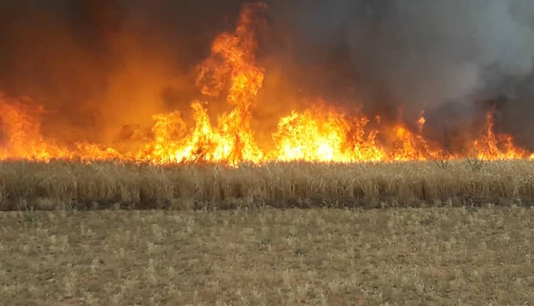 حريق يلتهم عشرات الدونمات من القمح في منطقة خان شيخون .