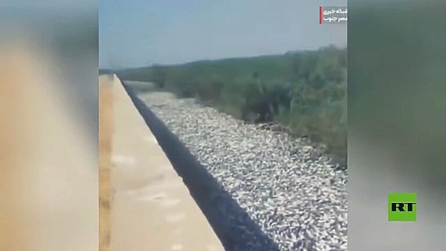 بسبب الجفاف نفوق آلاف الأسماك في نهر بإيران (فيديو)