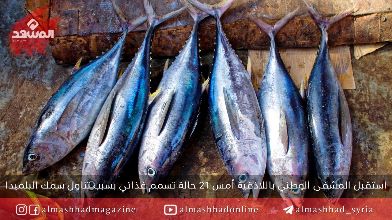 مع ارتفاع درجات الحرارة: 21 حالة تسمم بسمك البلميدا في اللاذقية