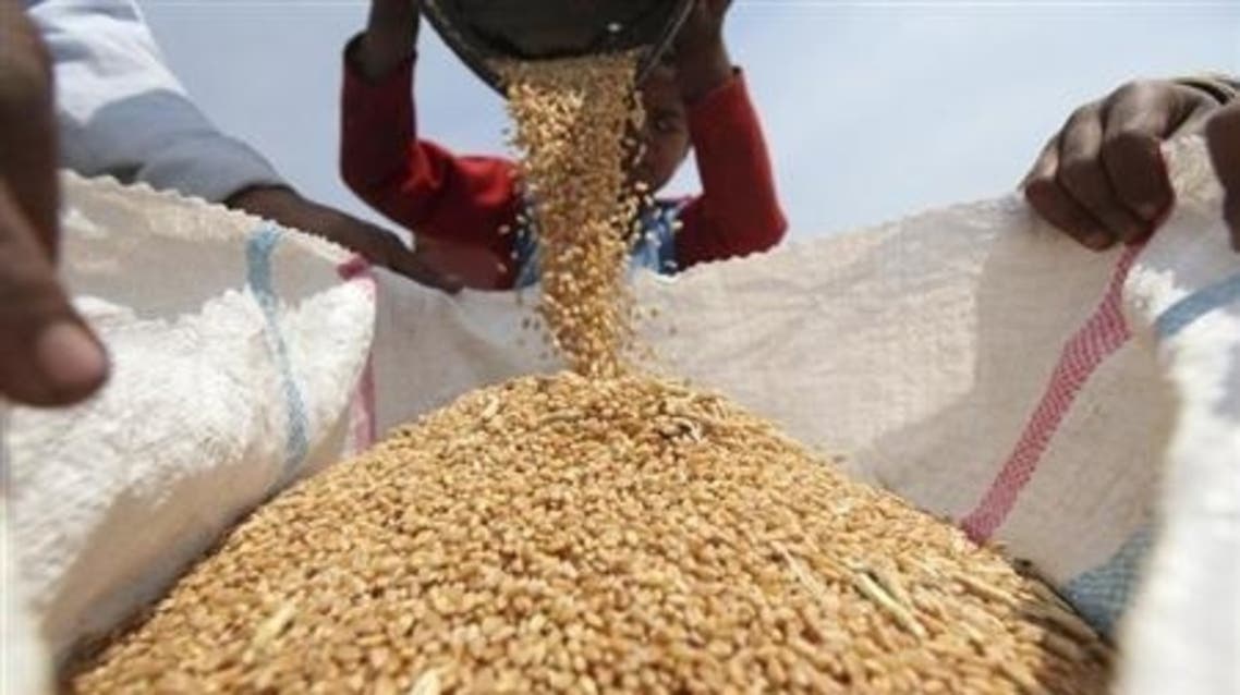 وزارة الاقتصاد التجارة الخارجية تسمح للجميع باستيراد القمح ومن كل المصادر