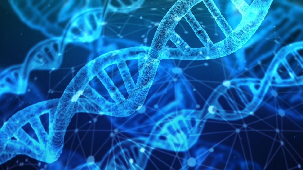 علماء ينشرون أول خريطة كاملة للجينوم البشري
