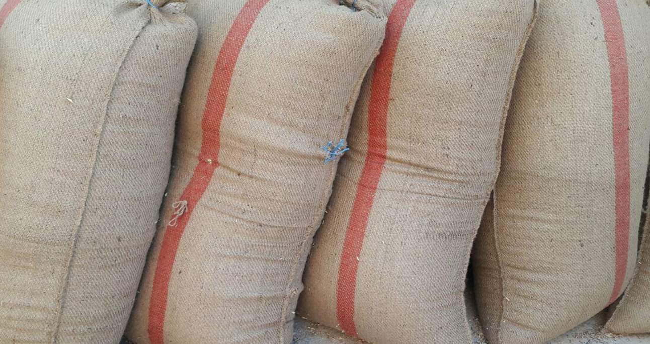 مصادرة أكثر من 12 طناً من القمح بديرالزور وتغريم المخالفين 73 مليوناً