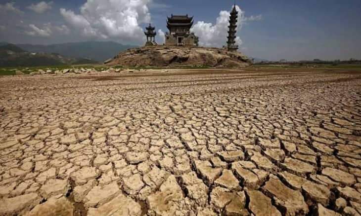 الصين تحذر من تهديد خطير لمحاصيلها الزراعية بسبب موجة الحر