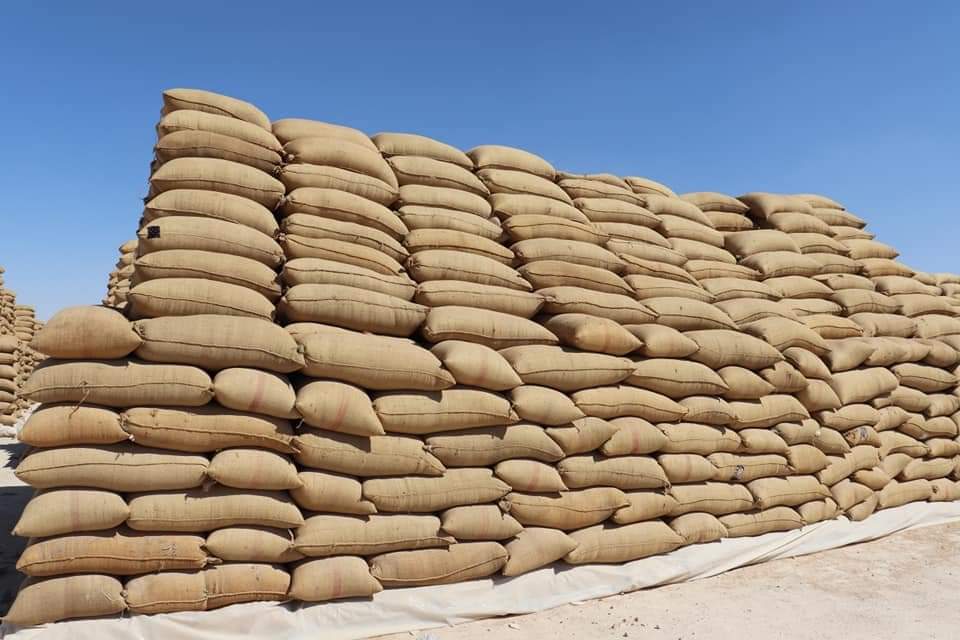 هل يغطي مخزون القمح الموجود حاجة سورية و ماذا عن عمل المخابز في الفترة المقبلة ؟