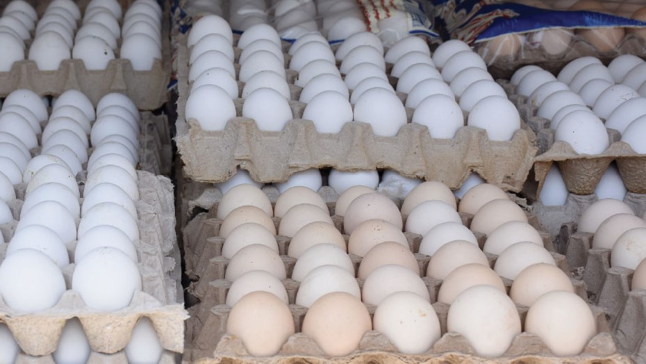 135 مليون بيضة مائدة و7000 طن حليب متوقع إنتاجها العام القادم