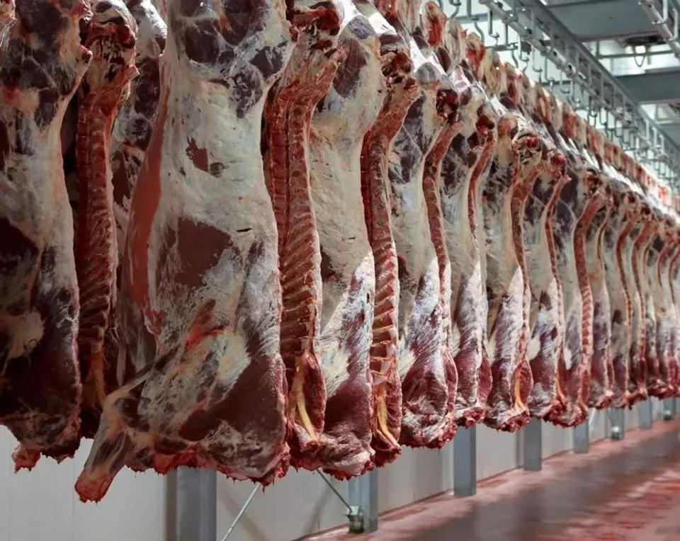 جمعية اللحامين تنفي وجود لحوم مهربة في الأسواق