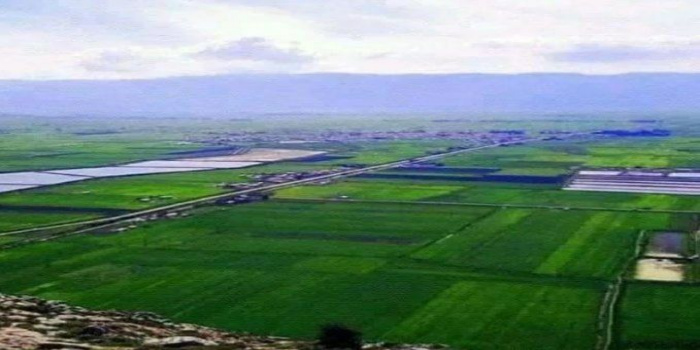 خبير زراعي يطالب الحكومة بالاستثمار في الزراعة التي تؤمن السلة الغذائية للمواطن السوري