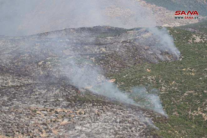 الوزير قطنا: إخماد 90 بالمئة من الحرائق في أعالي الحراج الجبلية بمنطقة الغاب والعمل جار لإخمادها بشكل نهائي