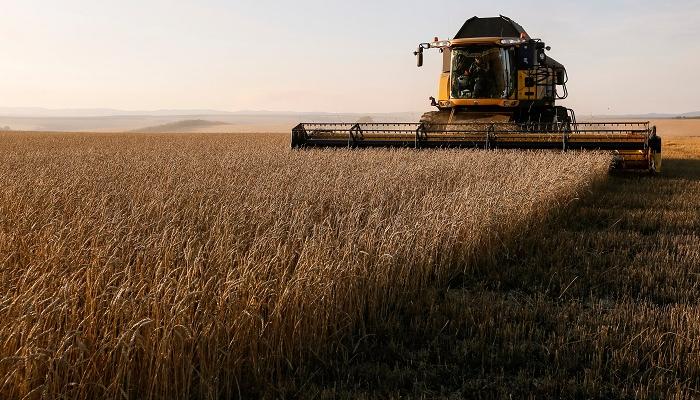 بوتين: روسيا قادرة على تعويض صادرات الحبوب الأوكرانية إلى إفريقيا
