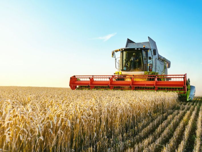 فلاحو درعا يسلمون أكثر من 89 ألف طن من القمح