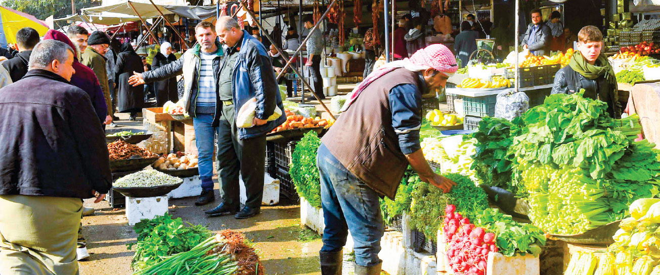 لجنة تجار ومصدري الخضر والفواكه تحذر من تقلص الزراعة بشكل أكبر خلال العام القادم واضطرار سوريا إلى الاستيراد في حال استمرار عدم دعم الحكومة للفلاح