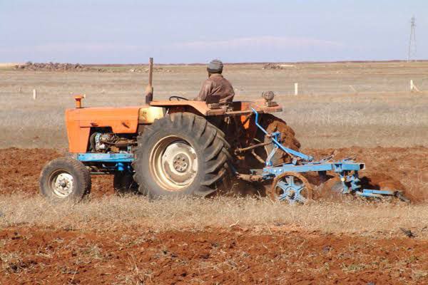 وزارة الزراعة بصدد إنشاء مراكز تجميع آليات زراعية تقدّم خدمة مأجورة للفلاحين