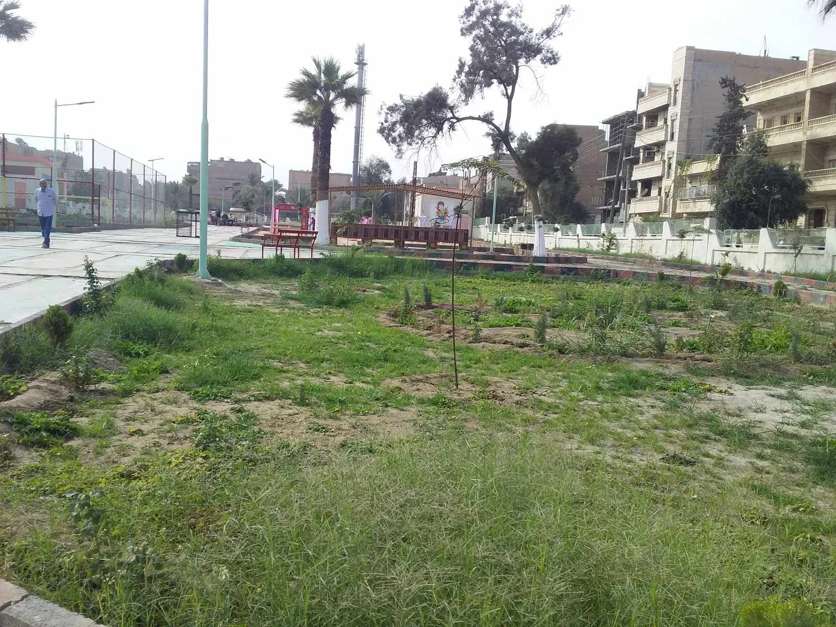 الحكومة تعيد تأهيل الحدائق في مدينة دير الزور